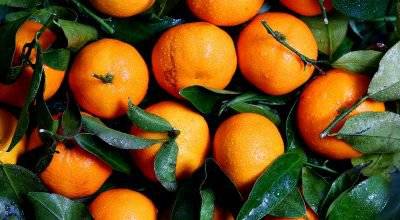 Napraforgó-narancs sorozat