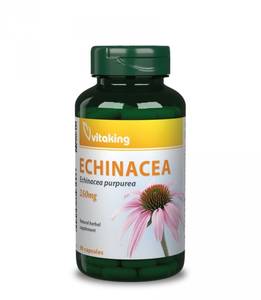 Vitaking Bíbor Kasvirág (Echinacea) 90db 0