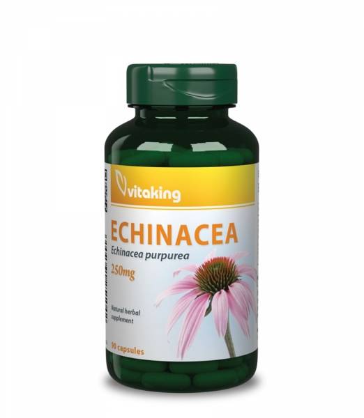 Vitaking Bíbor Kasvirág (Echinacea) 90db 0